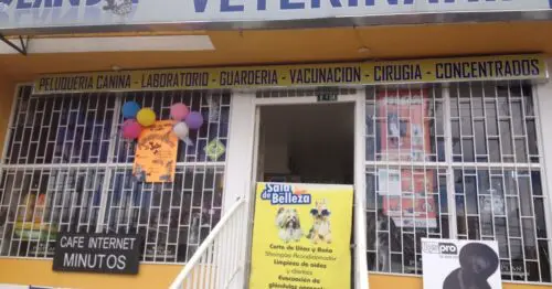 LANDIA PETS VETERINARIA BOGOTÁ LANDIA PETS VETERINARIA BOGOTÁ